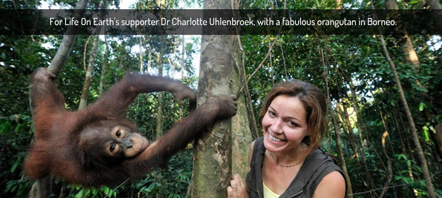 Dr Charlotte Uhlenbroek with orangutan